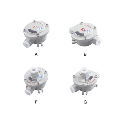 AH系列防爆接線盒( IIc、tD)